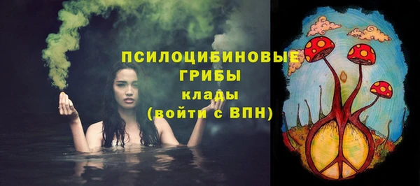 шишки Павлово