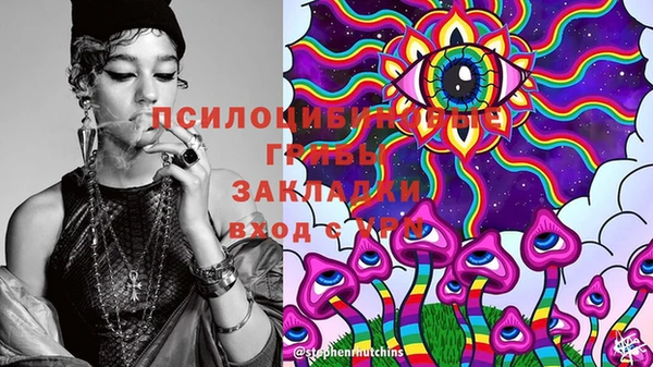 apvp Надым