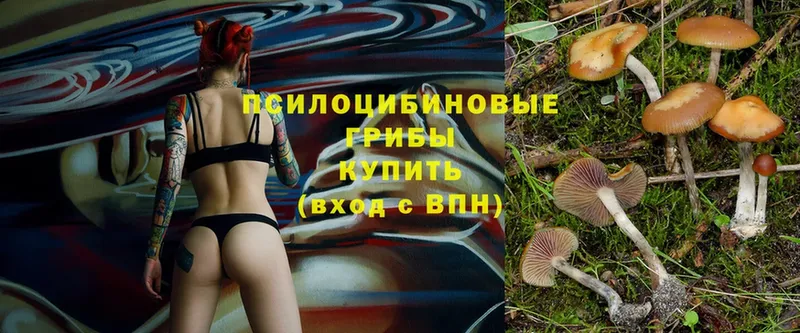 Галлюциногенные грибы MAGIC MUSHROOMS  дарнет шоп  Покачи 