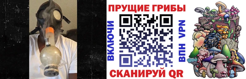 даркнет телеграм купить наркоту Покачи Псилоцибиновые грибы прущие грибы
