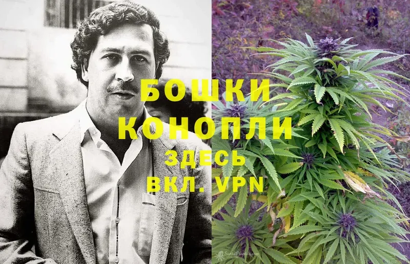 МАРИХУАНА LSD WEED  закладки  мега зеркало  Покачи 